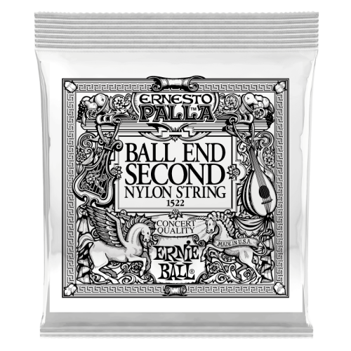 ERNIE BALL P01522