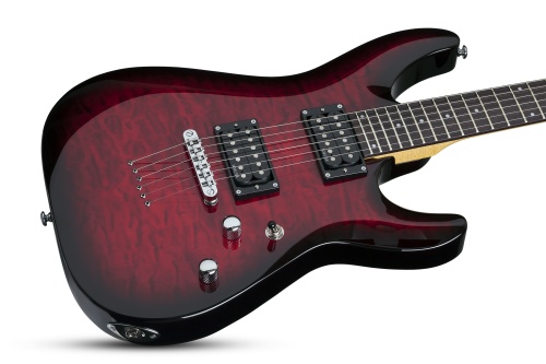 SCHECTER C-6 PLUS STCB фото 5