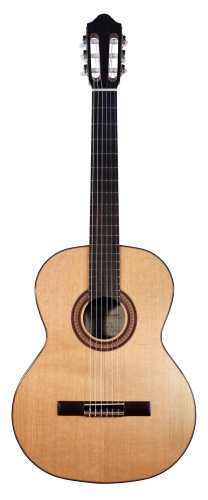 Kremona F65C Cedar Fiesta Soloist Series